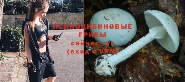 jwh Гусь-Хрустальный