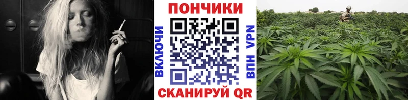 Канабис тримм  Купить где  Зверево 